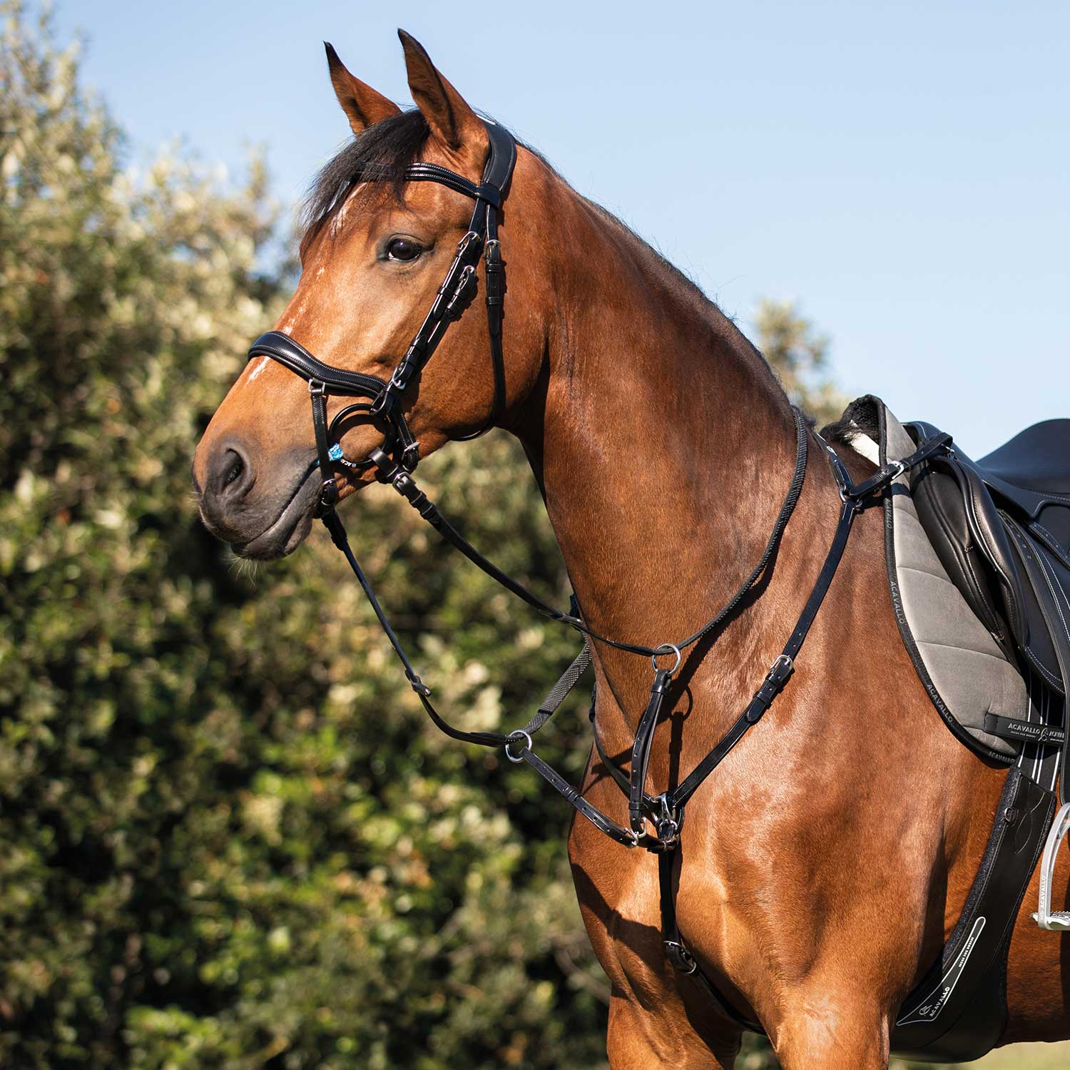 Acavallo Three-Point Breastplate Calfskin - Image 7