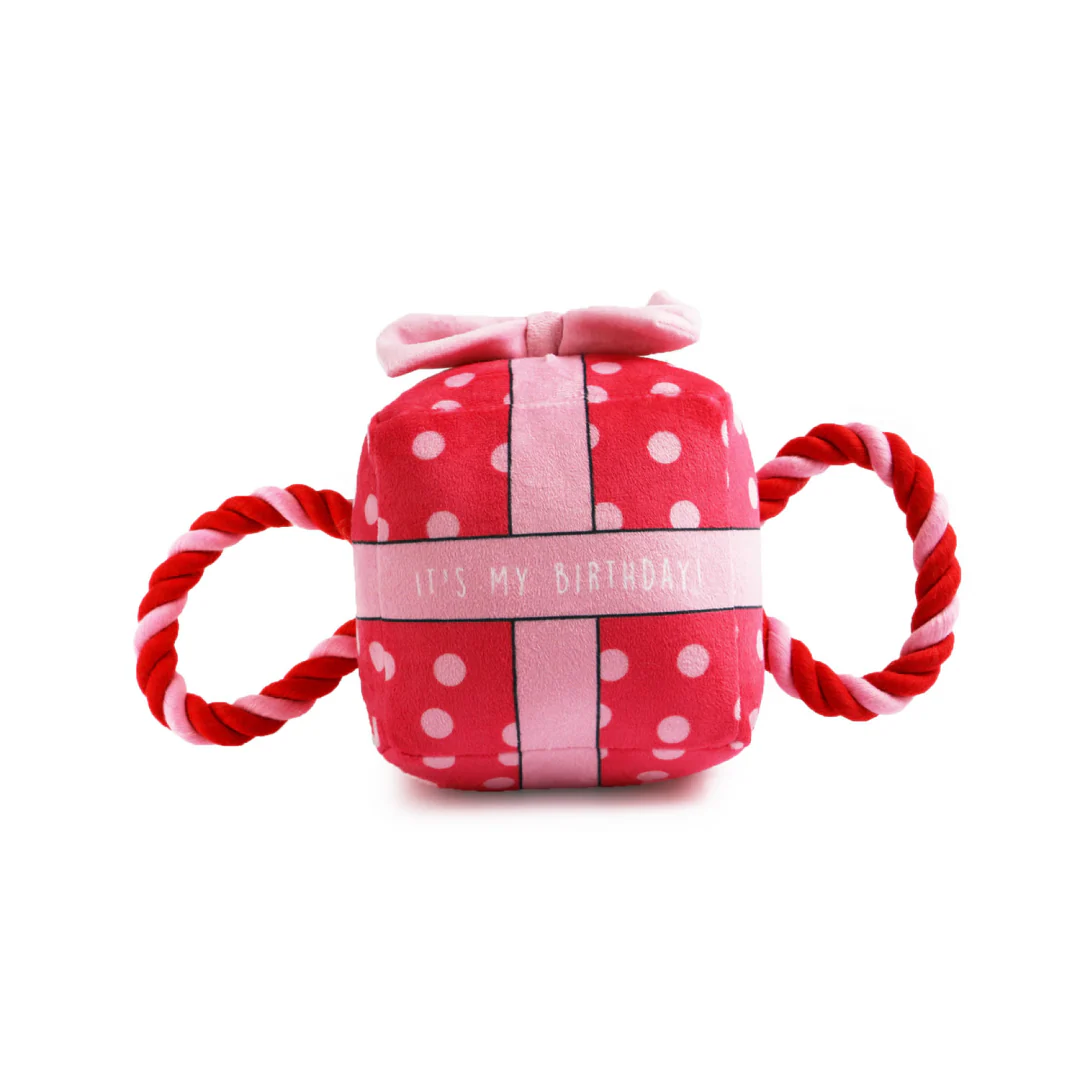 Ancol Pawty Time Birthday Present Dog Toy - Image 2