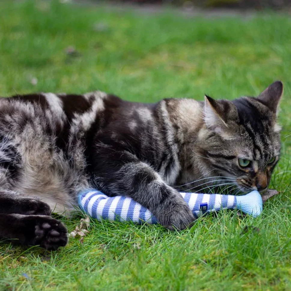 Battersea Catnip Kicker Fish - Image 5