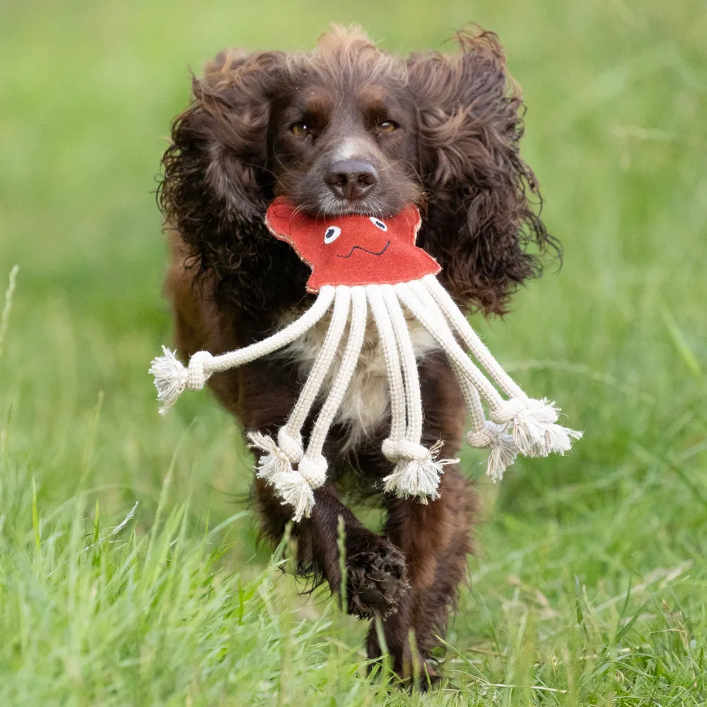Benji & Flo Crazy Faces Dog Toy - Image 6