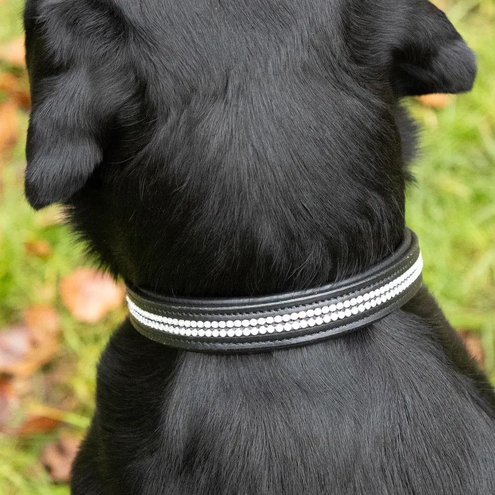 Benji & Flo Dazzling Diamante Dog Collar - Image 4
