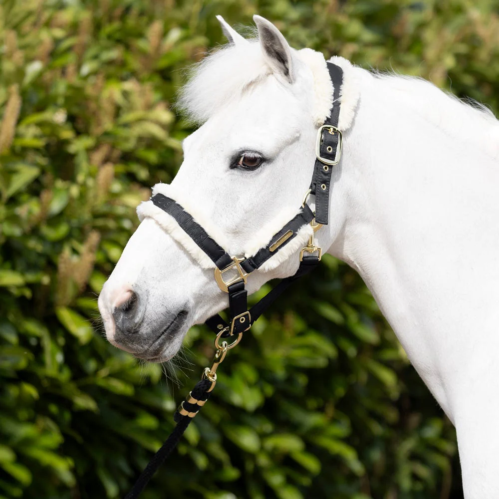 Coldstream Langlee Luxury Head Collar & Lead Rope - Image 2