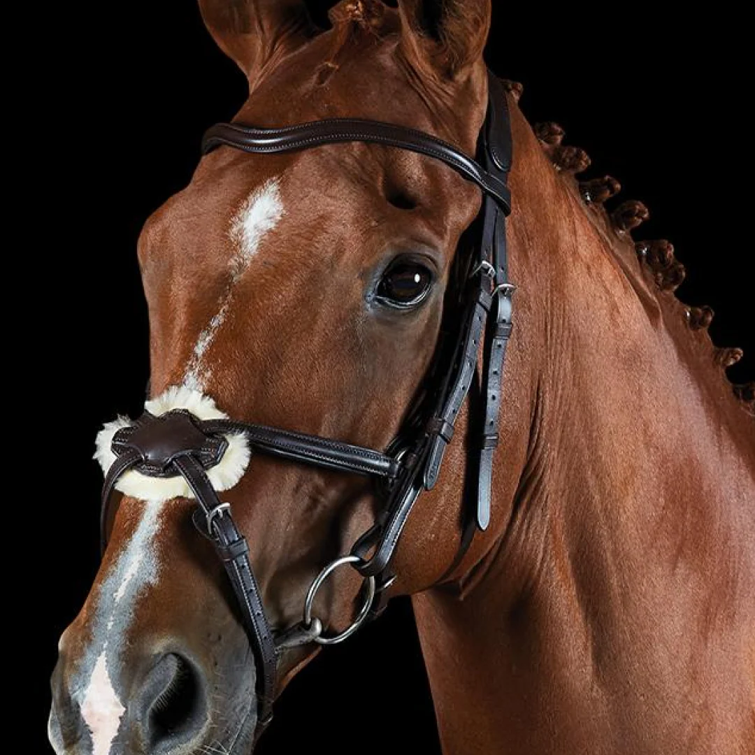 Collegiate ComfiTec Grackle Bridle - Image 4