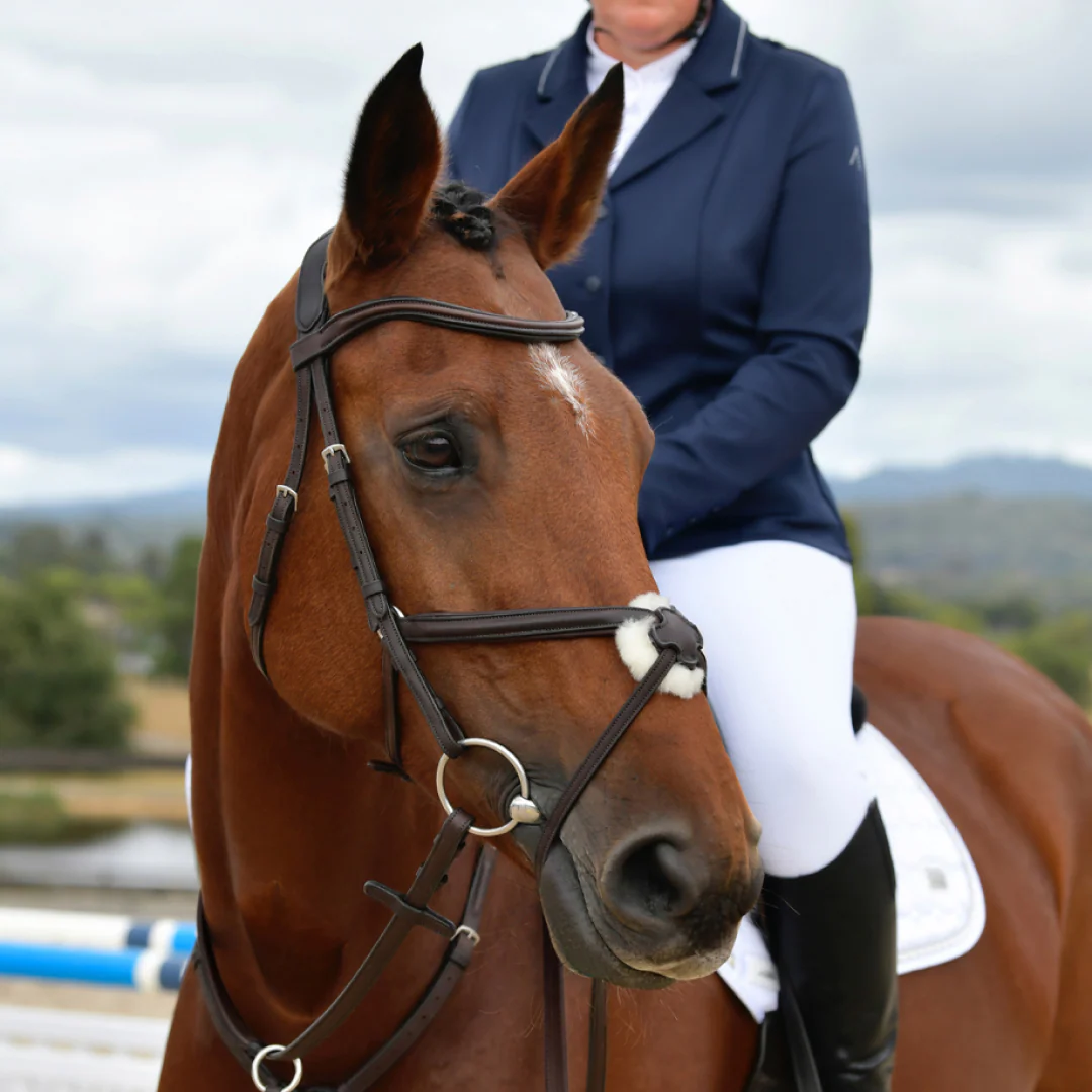 Collegiate Comfitec Opulux Plain Padded Grackle Bridle - Image 3