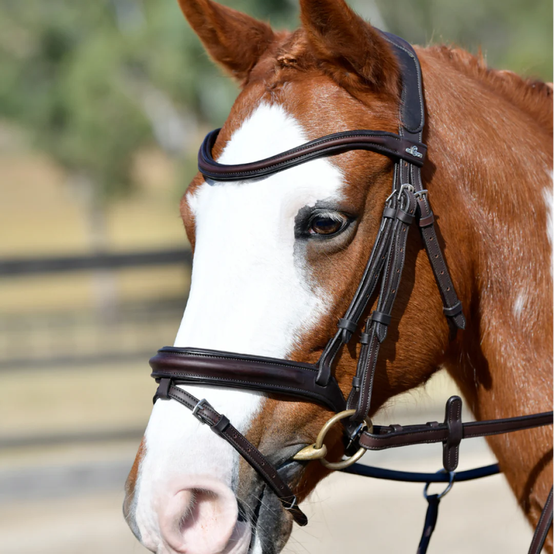 Collegiate Comfitec Opulux Plain Padded Hanoverian Flash Bridle - Image 7