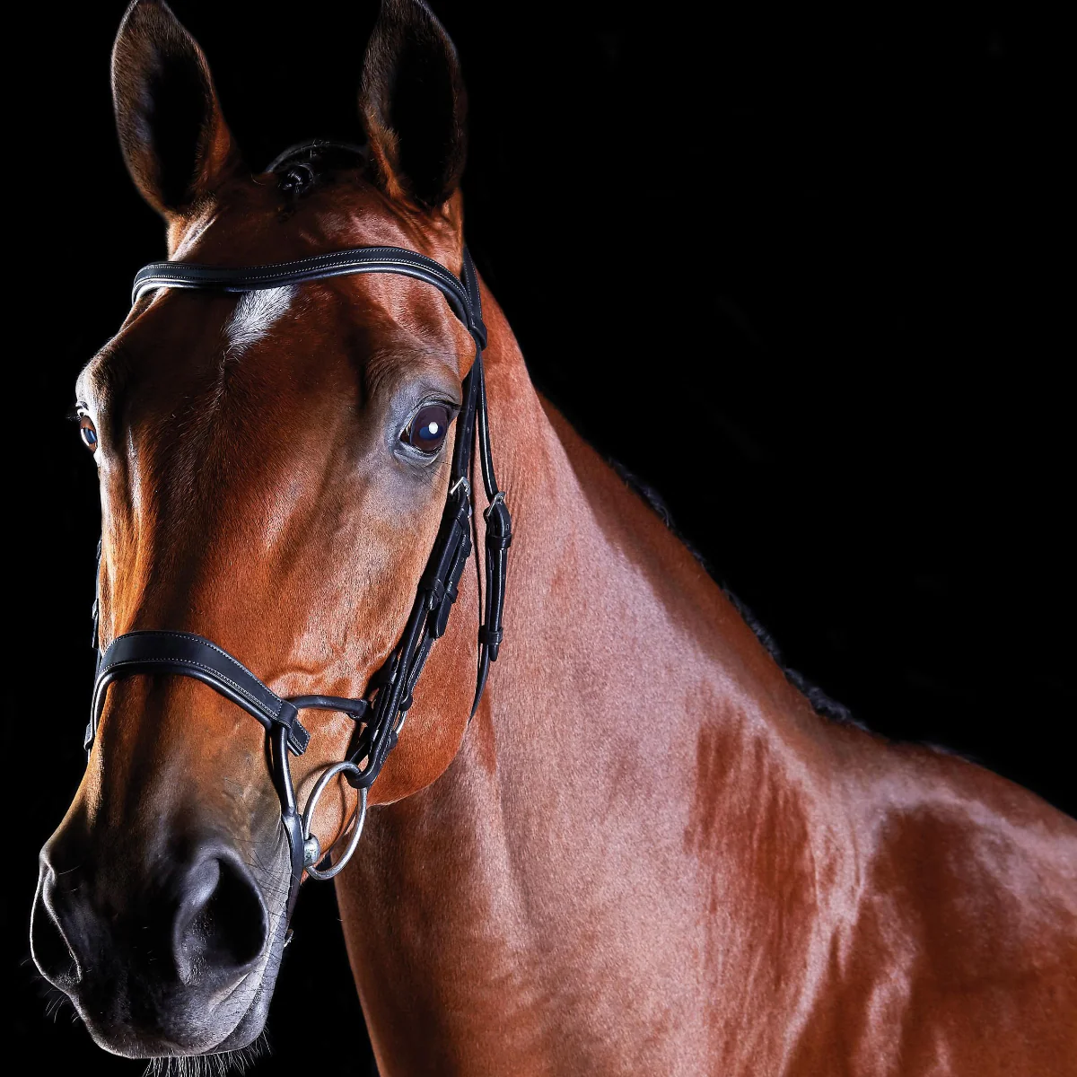 Collegiate ComFiTec Training Bridle - Image 2