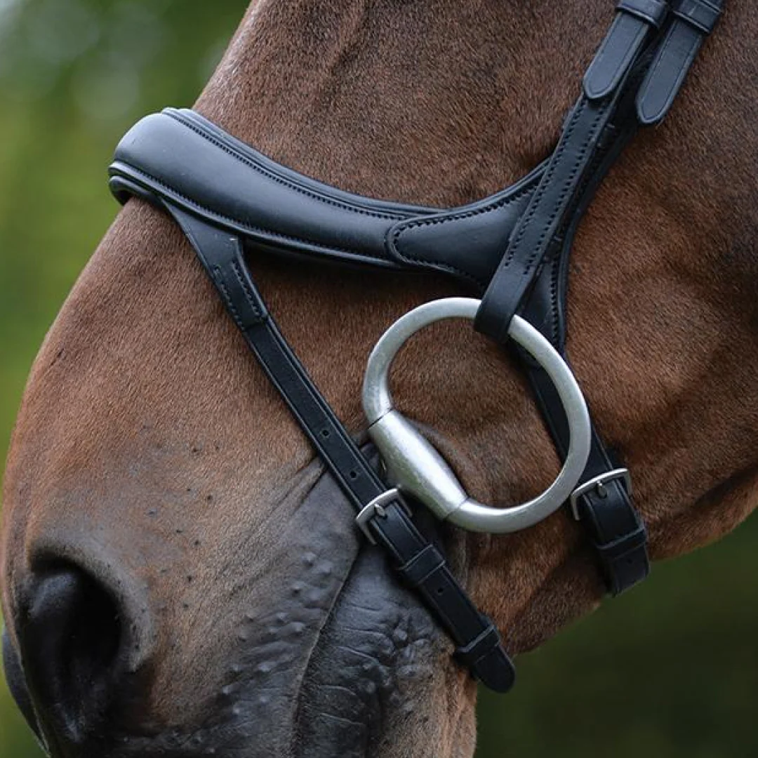 Collegiate ComfiTec Vogue Anatomical Bridle - Image 2