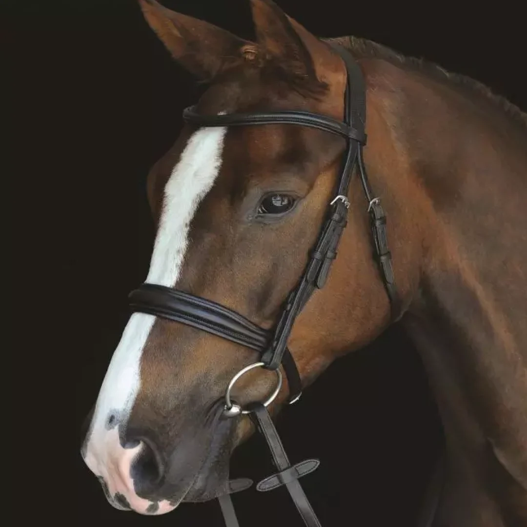 Collegiate Mono Crown Padded Raised Cavesson Bridle - Image 2