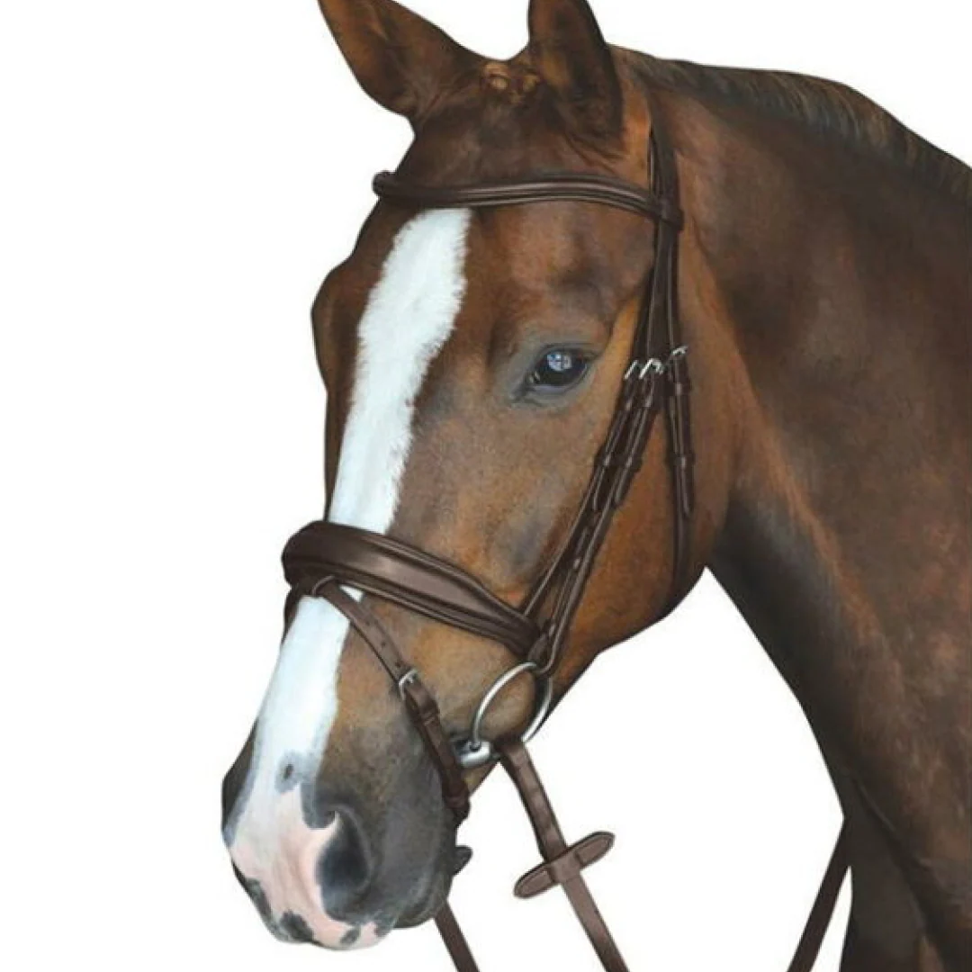 Collegiate Mono Crown Padded Raised Flash Bridle - Image 2