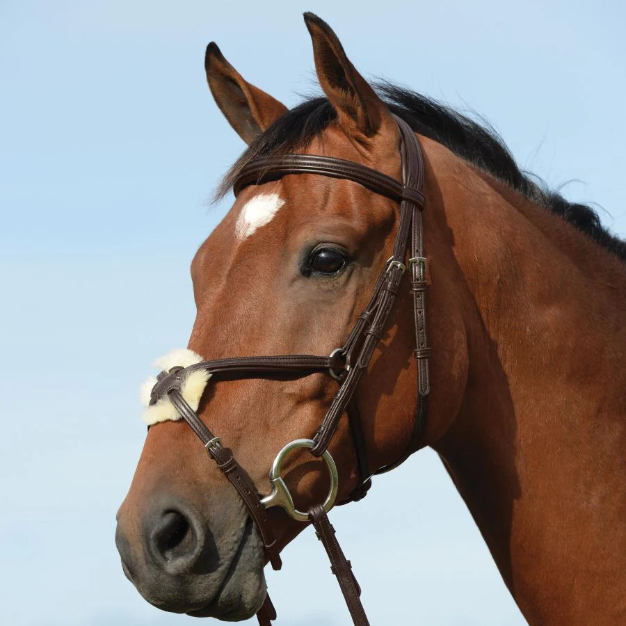 Collegiate Syntovia+ Raised Padded Figure 8 Bridle - Image 2