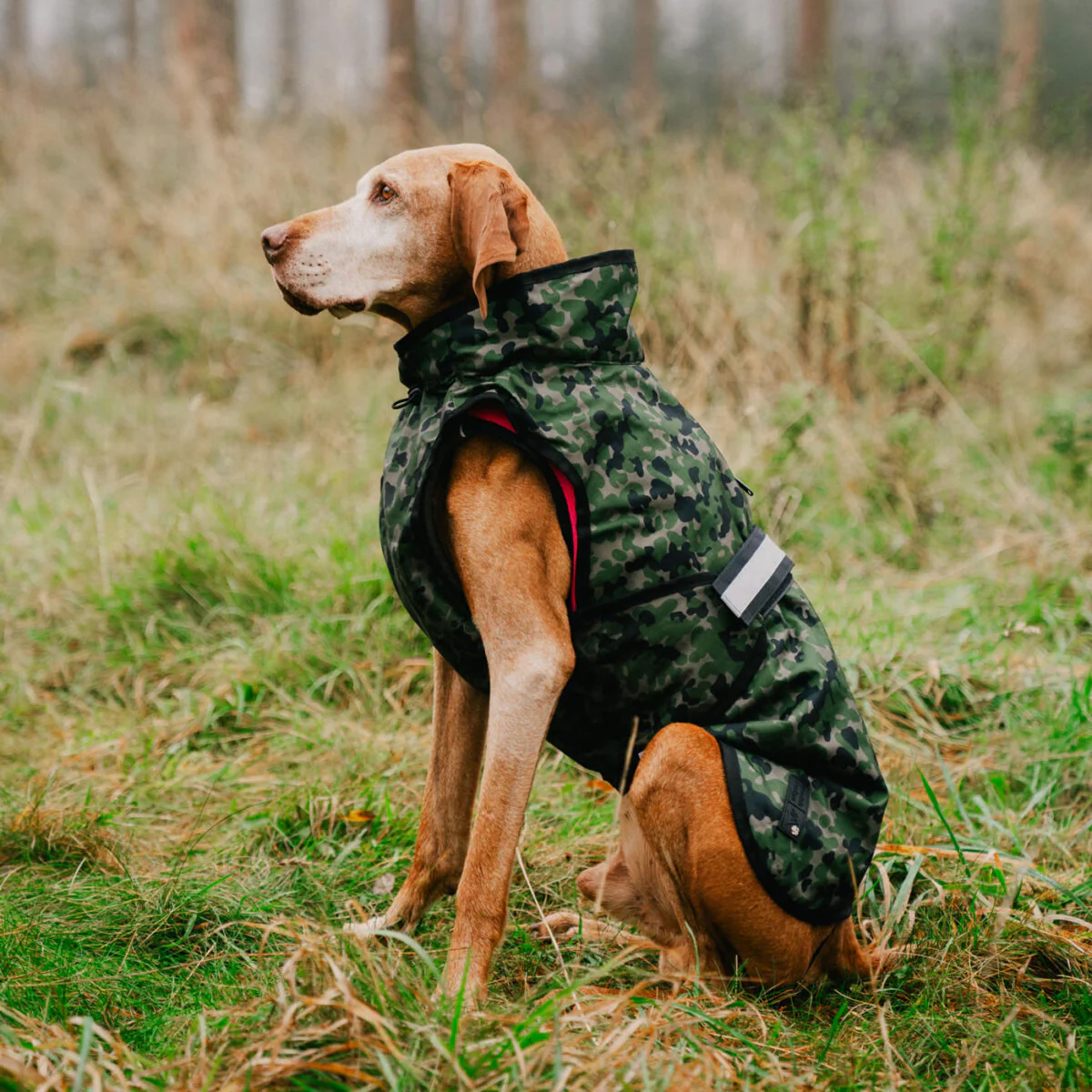 Danish Design 3-In-1 Dog Coat - Image 16