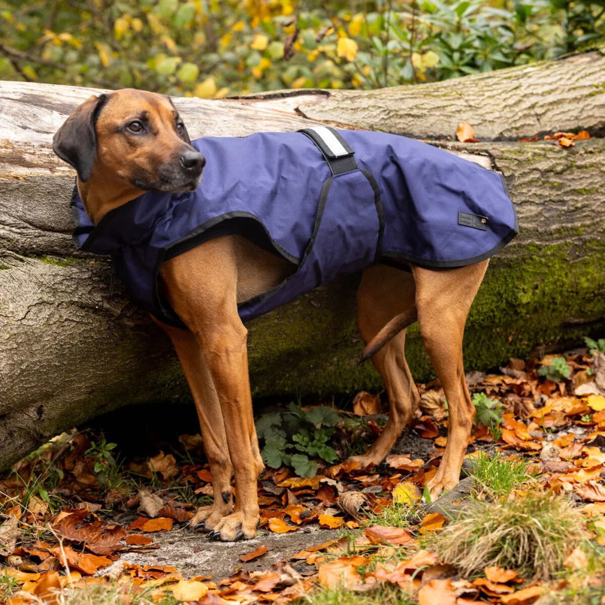 Danish Design 3-In-1 Dog Coat - Image 34