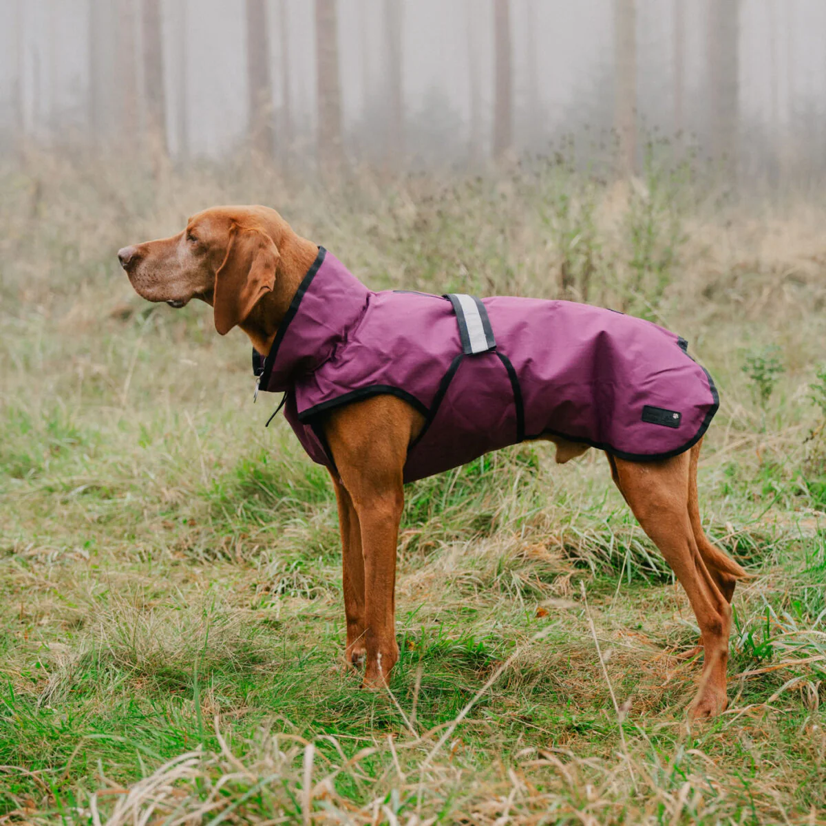 Danish Design 3-In-1 Dog Coat - Image 53