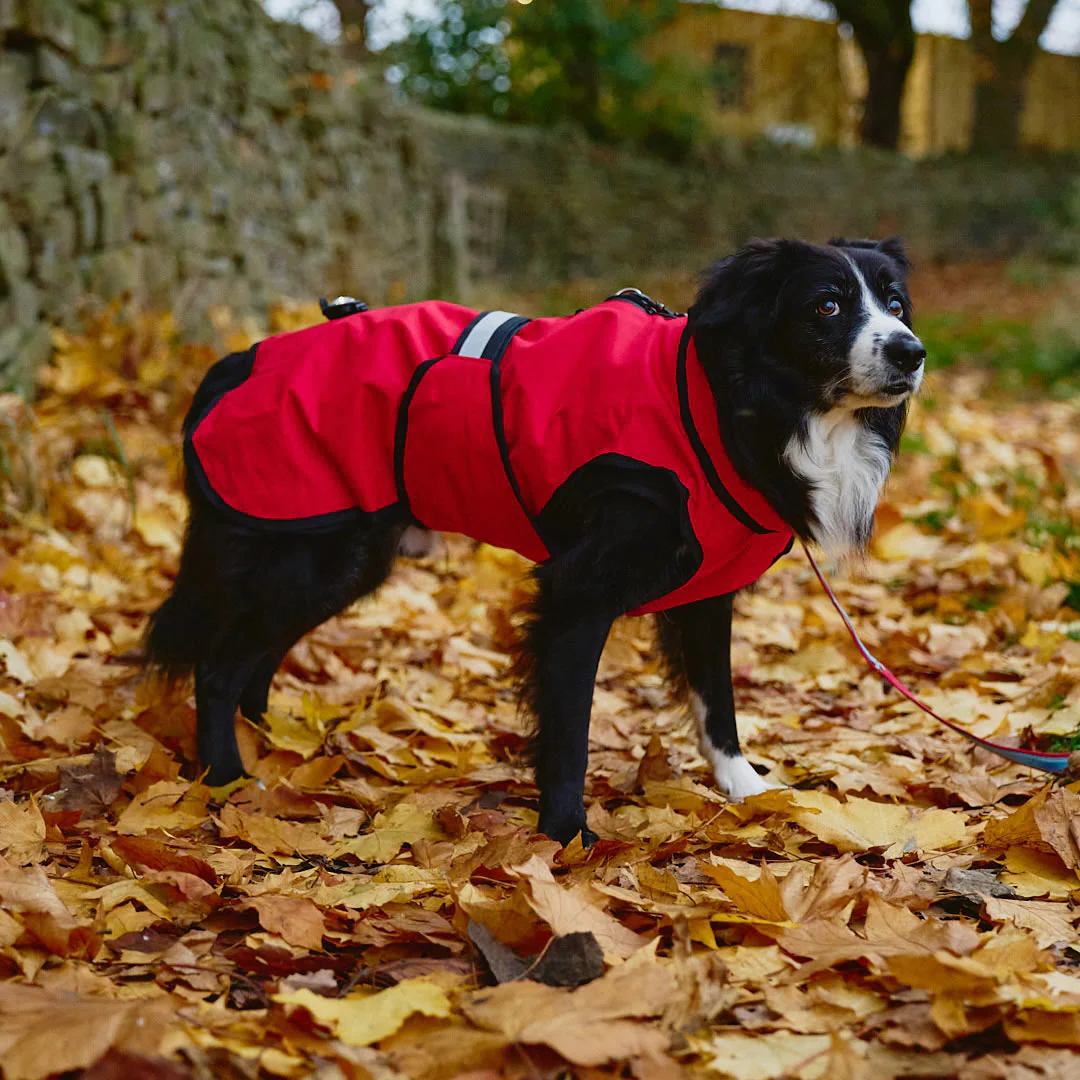 Danish Design 3-In-1 Dog Coat - Image 62