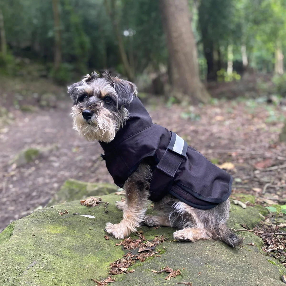 Danish Design 3-In-1 Dog Coat - Image 8