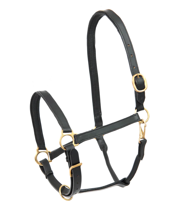STAR Leather Halter