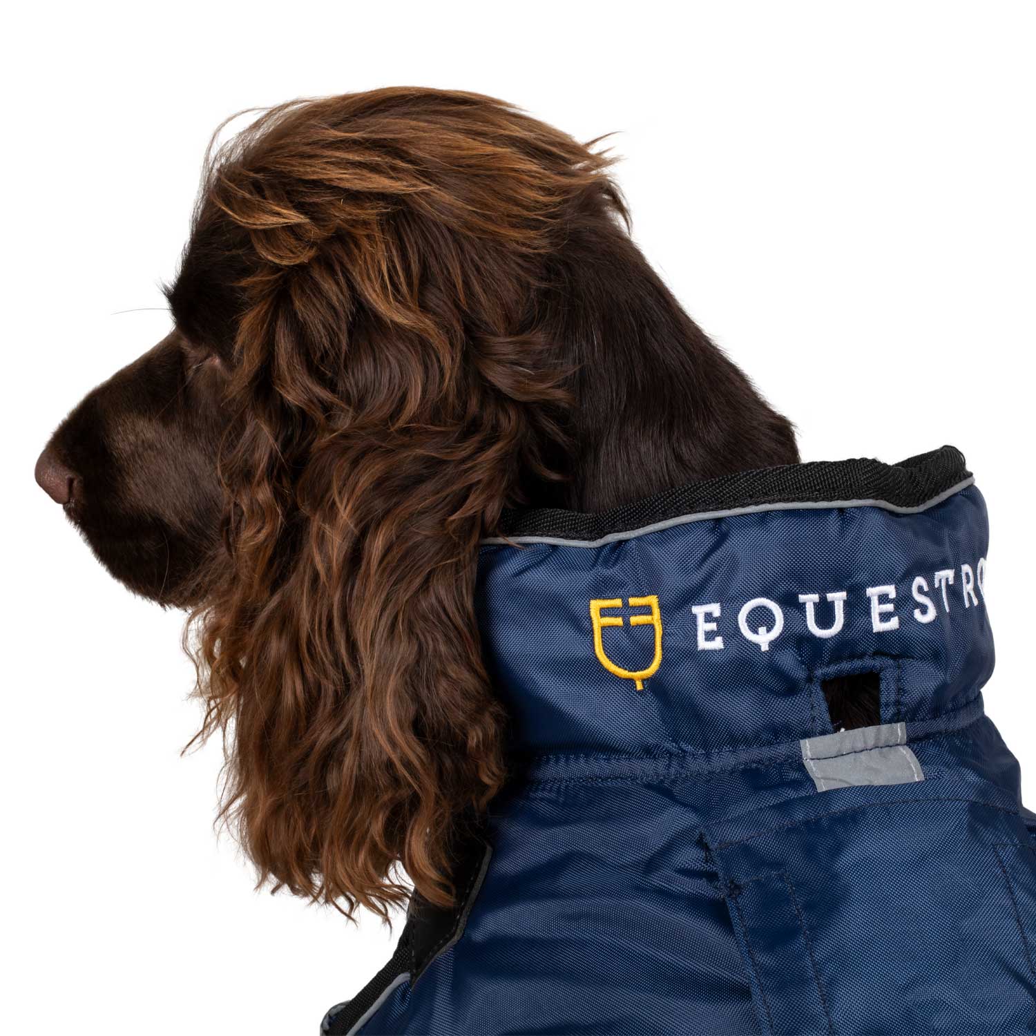 Equestro Dog Coat With Reflective Piping - Image 7