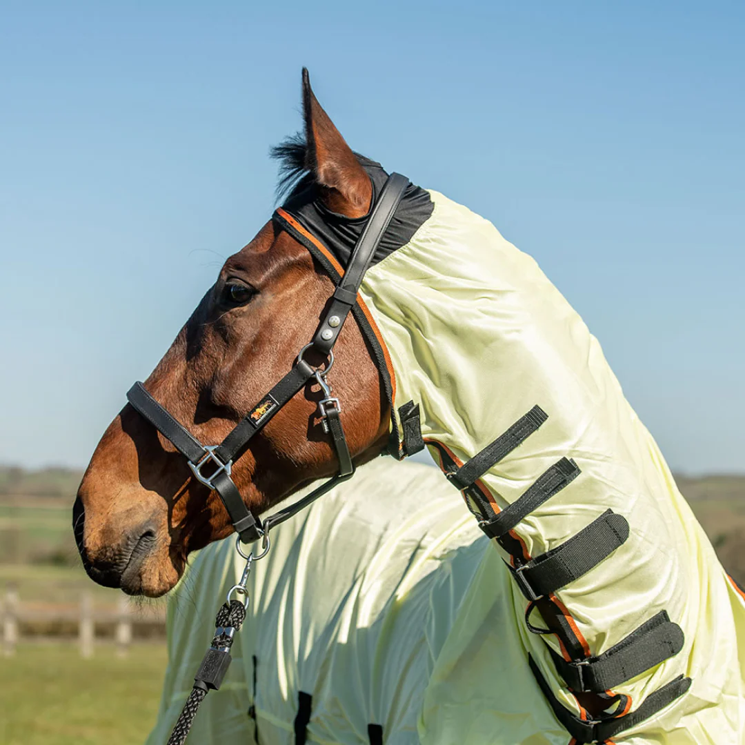 Equilibrium Field Relief Fly Rug - Image 11