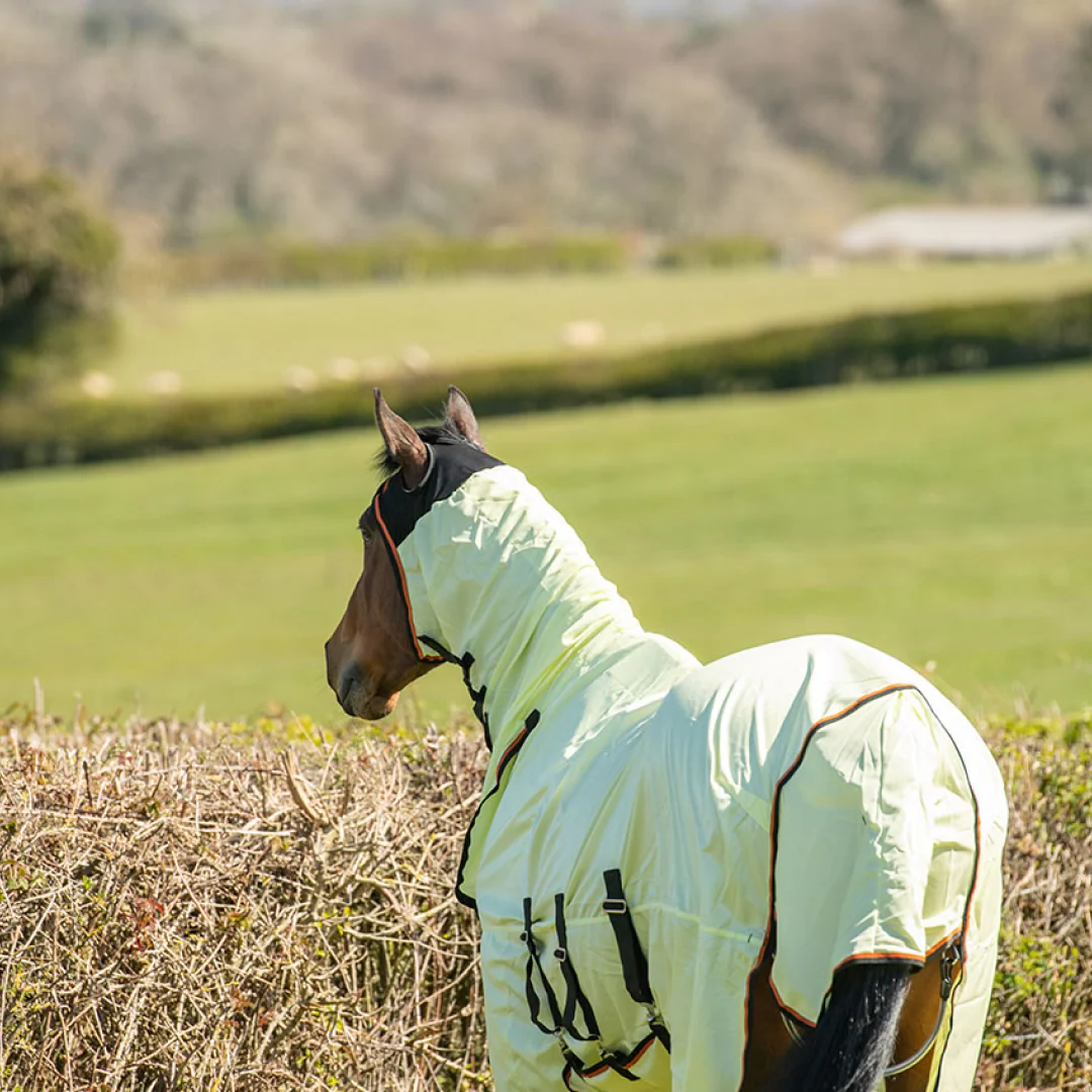 Equilibrium Field Relief Fly Rug - Image 12