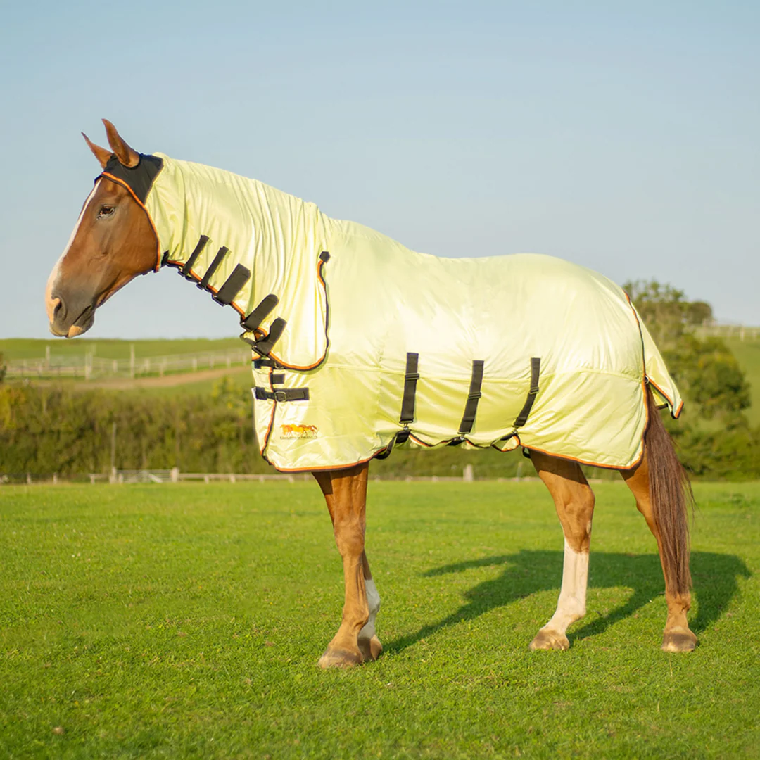 Equilibrium Field Relief Fly Rug - Image 6