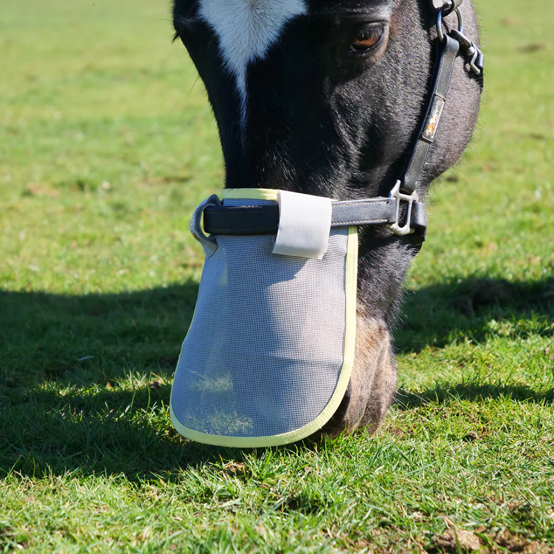 Equilibrium Field Relief Muzzle Protector - Image 2
