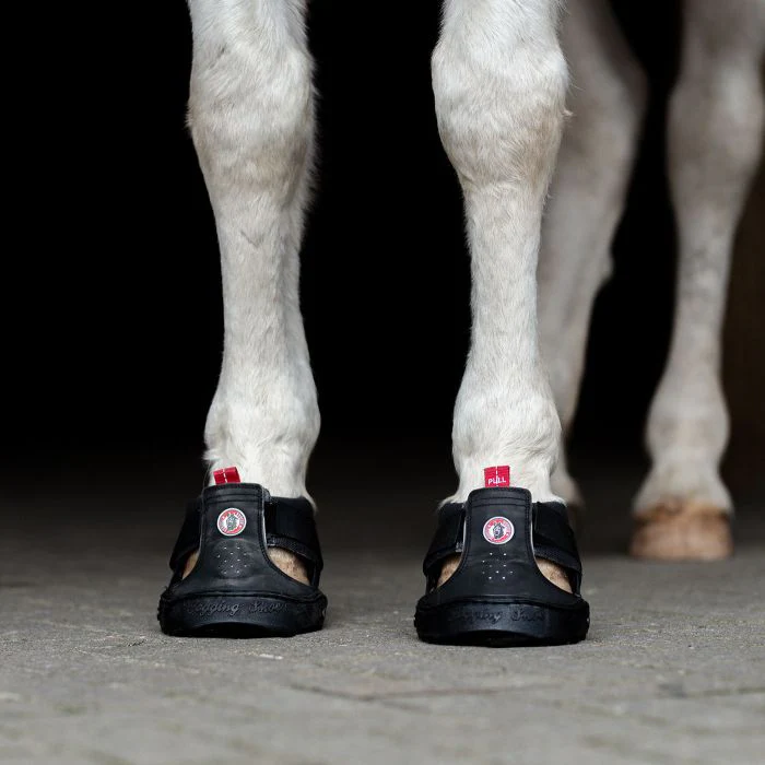 Equine Fusion Trekking Shoe - Image 7