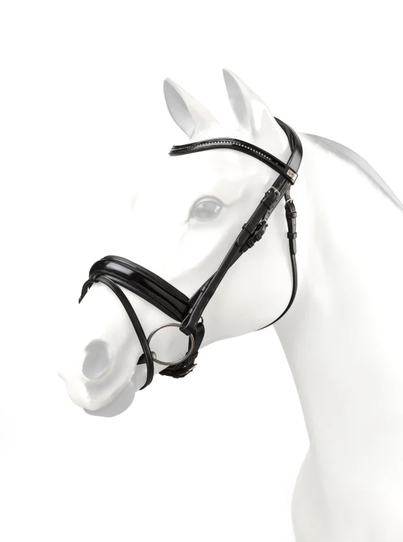Equipe Browband for BR64