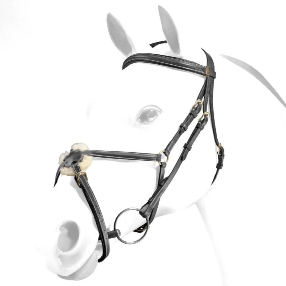 Equipe Emporio Grackle Bridle with Brass Fittings - Image 2