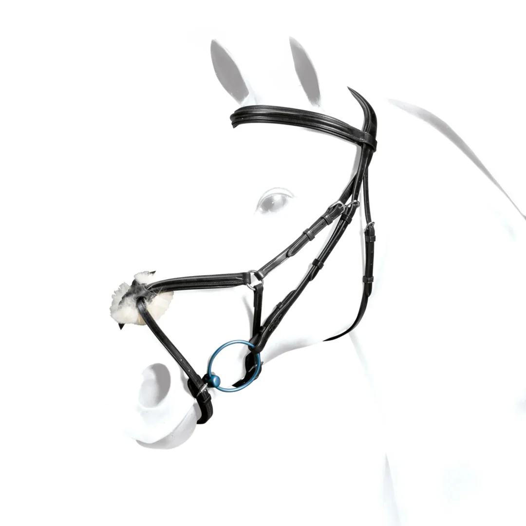 Equipe Emporio Grackle Bridle with Silver Fittings - Image 2