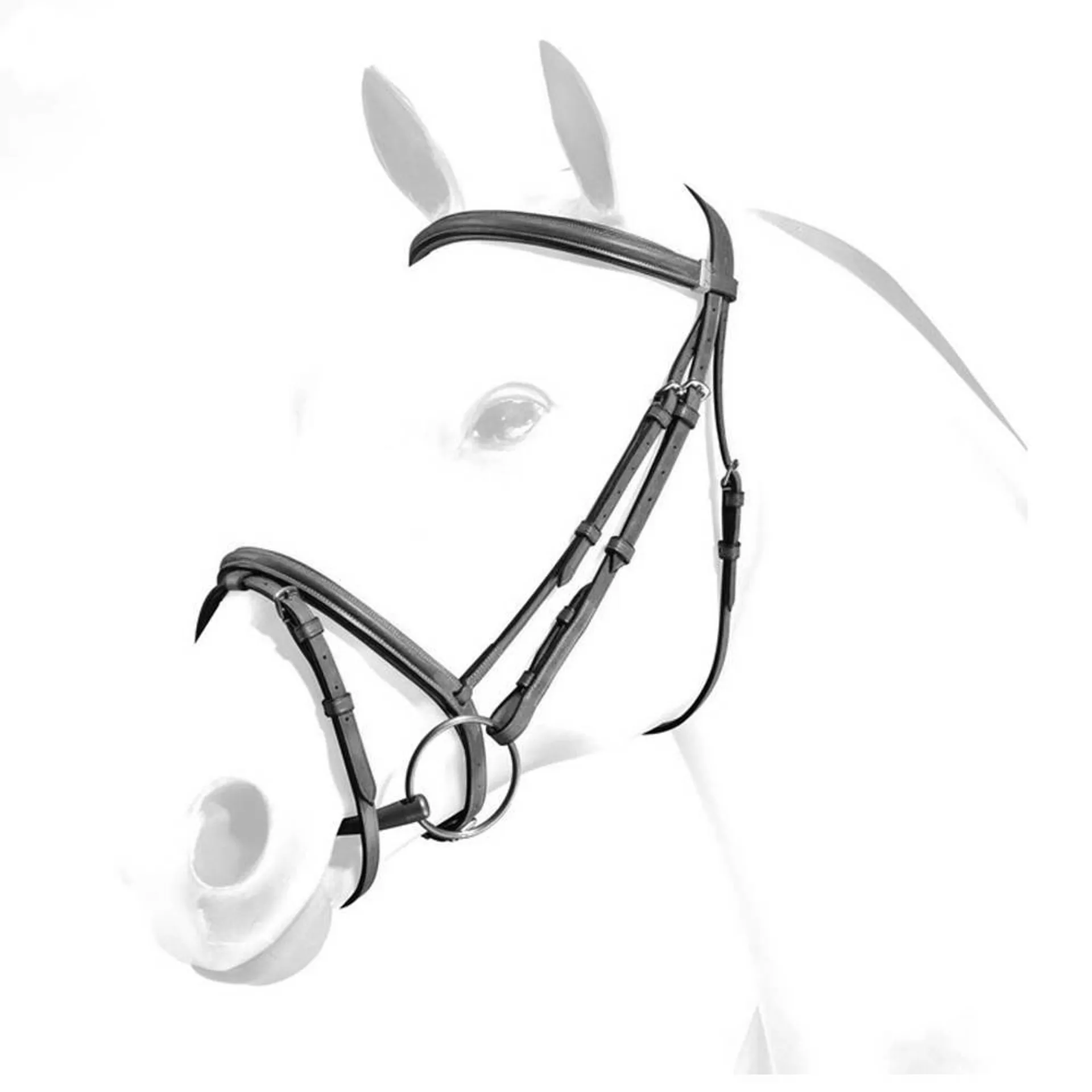 Equipe Emporio Plain Flash Bridle - No Reins - Image 2