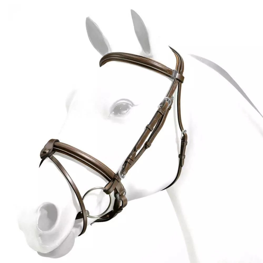 Equipe Rolled Browband Flash Bridle with Silver Fittings