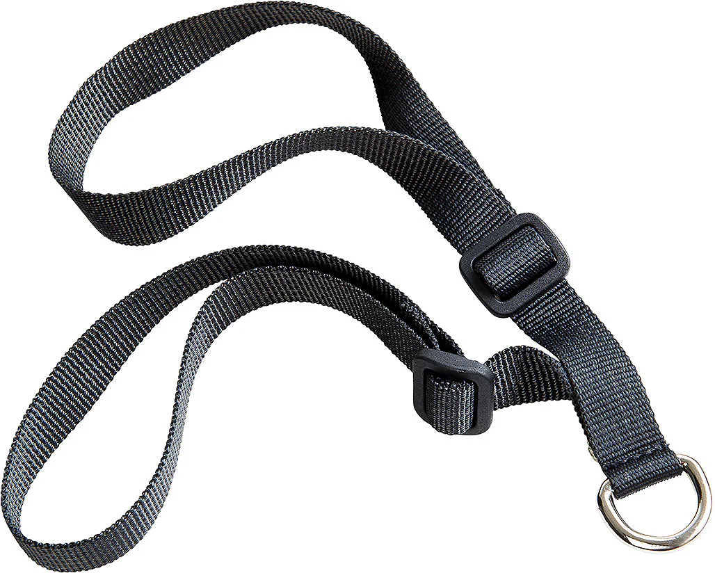 Equitheme Lanyard Attachment