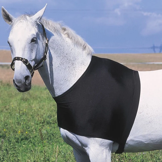 Equitheme Shoulder Protection