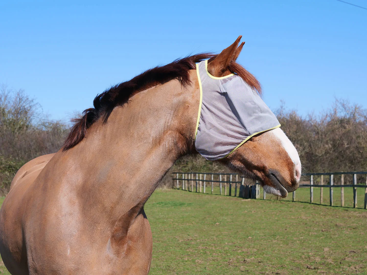 Equilibrium Field Relief Midi Fly Mask Without Ears - Image 2