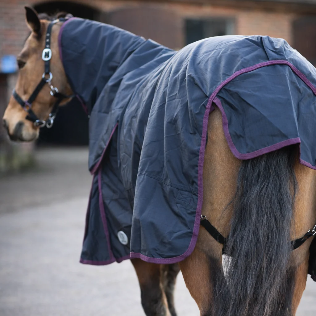 GS Equestrian 100g Detachable Neck Turnout Rug - Image 9