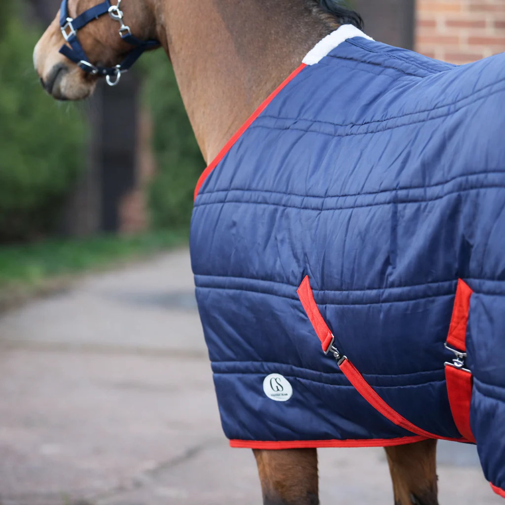 GS Equestrian 250g Stable Rug - Image 4