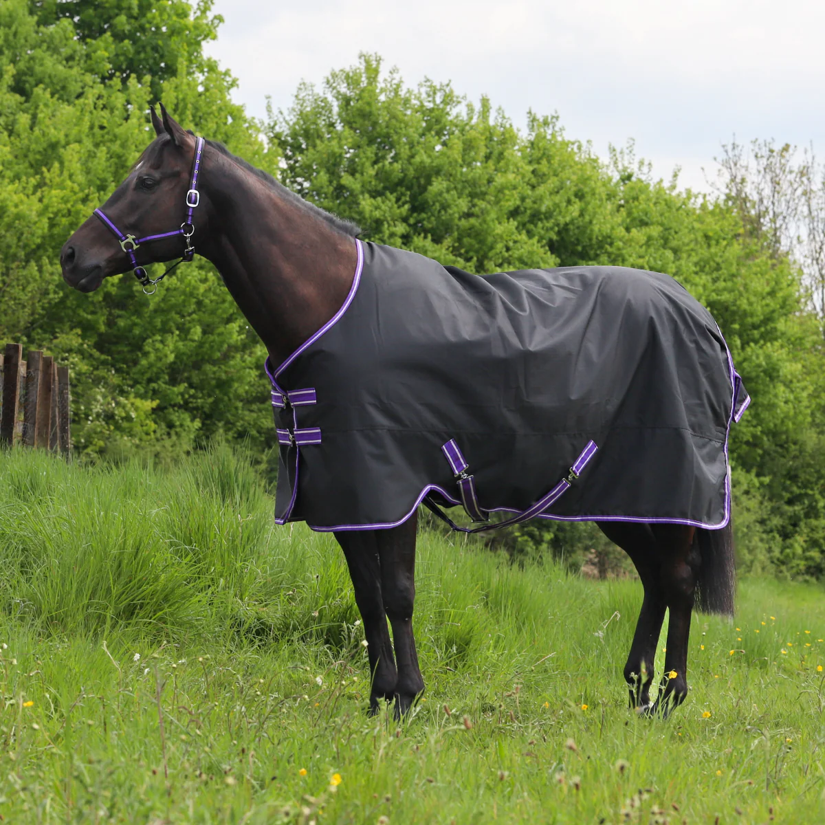 GS Equestrian 600D Waterproof Turnout Rug 0g - Image 3