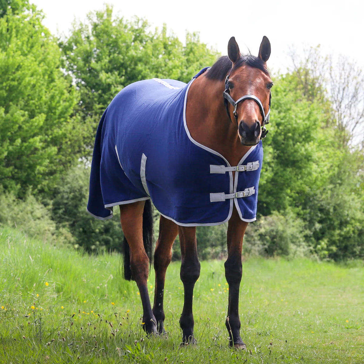 GS Equestrian Polar Fleece Rug - Image 13