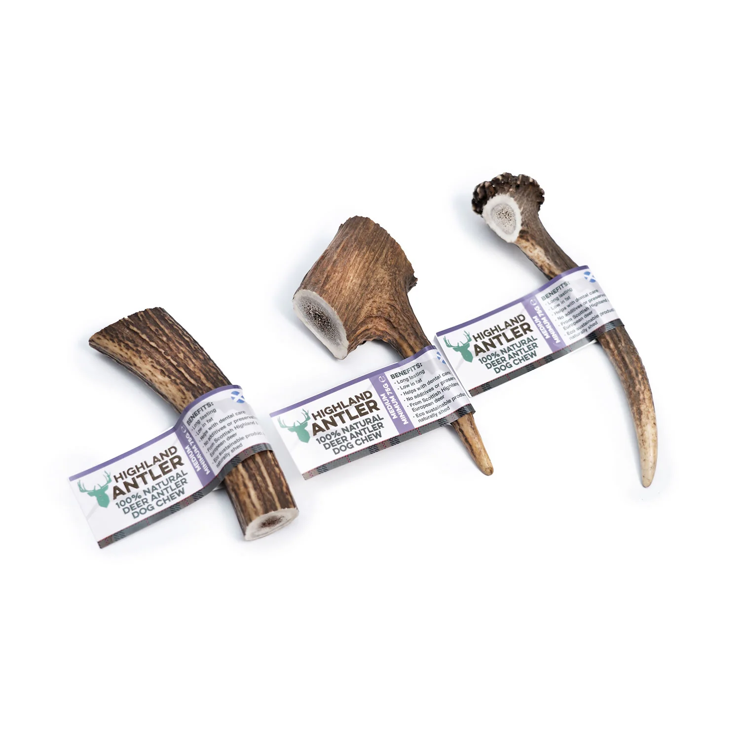 Highland Antler - Image 2