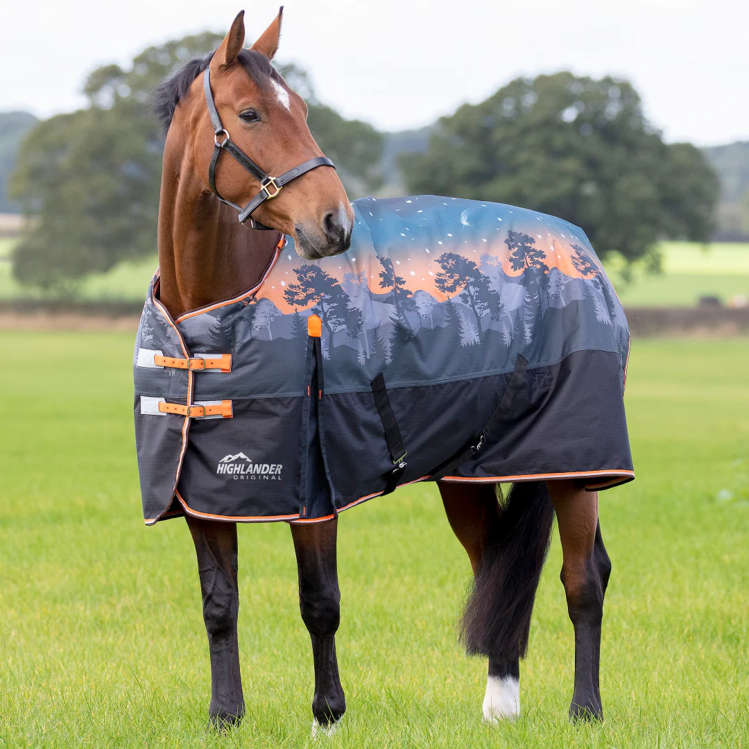 Shires Highlander Original 200g Turnout Rug - Image 2