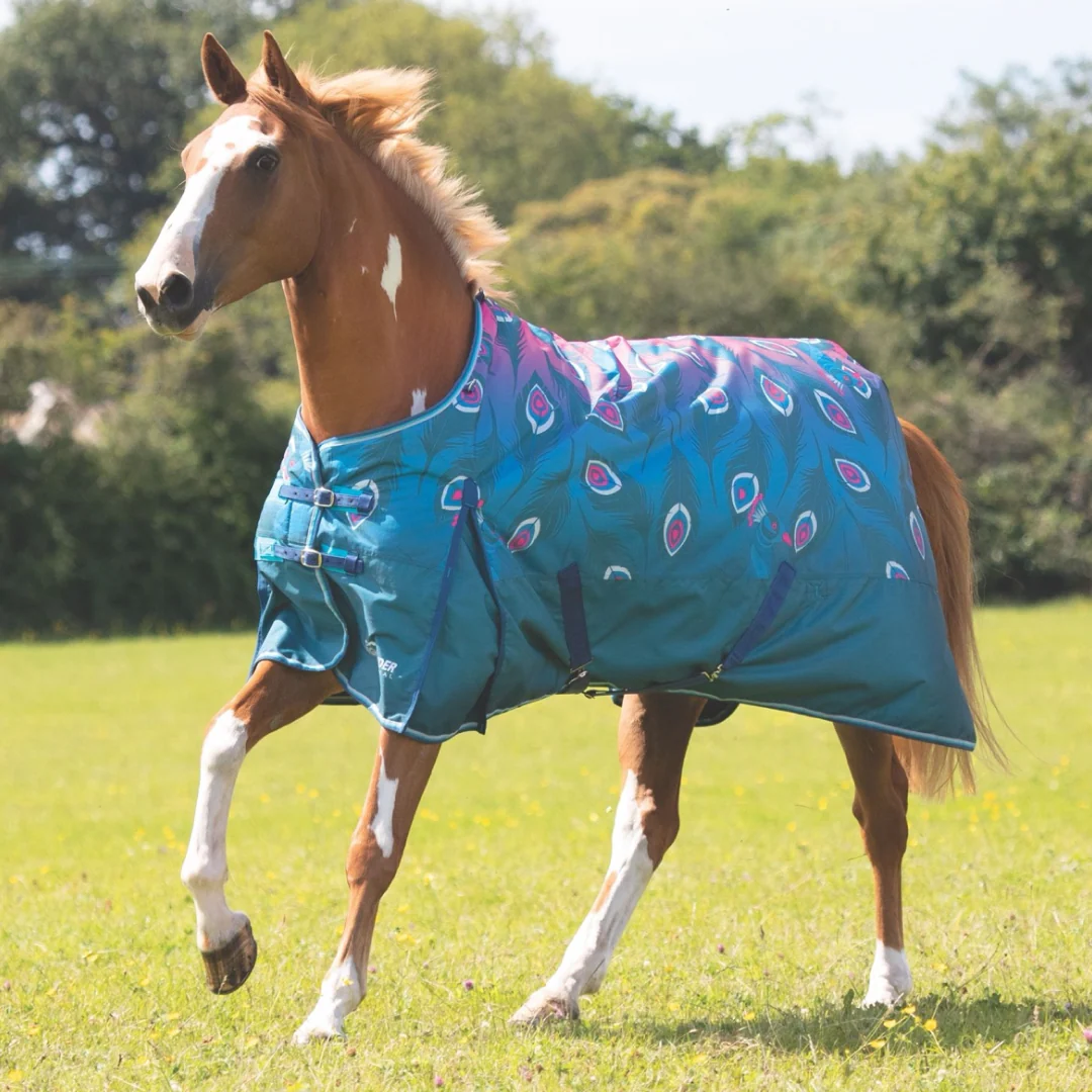 Shires Highlander Original 200g Turnout Rug - Image 3