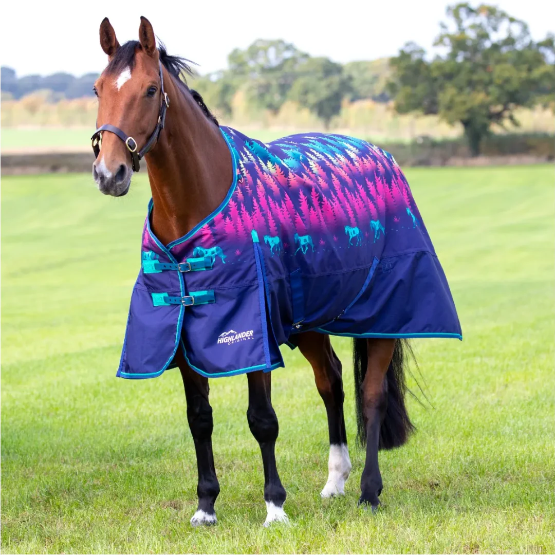 Shires Highlander Original 200g Turnout Rug - Image 4