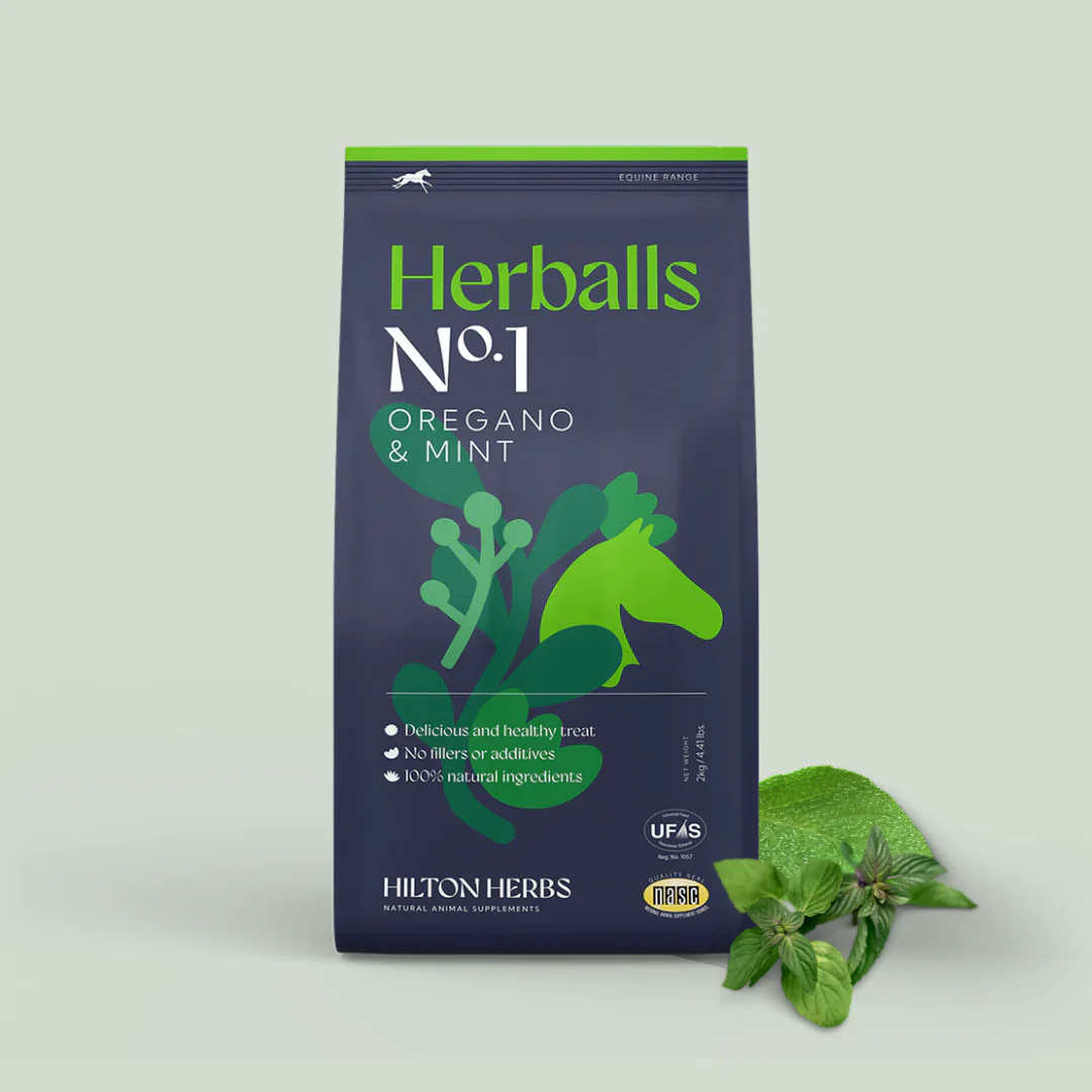Hilton Herbs Herballs - Image 2