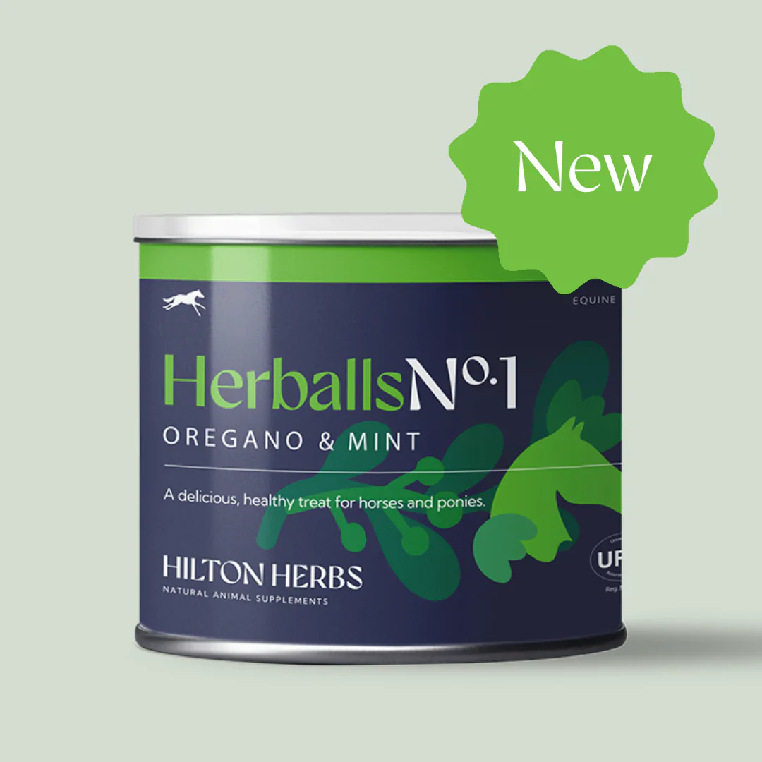 Hilton Herbs Herballs - Image 3