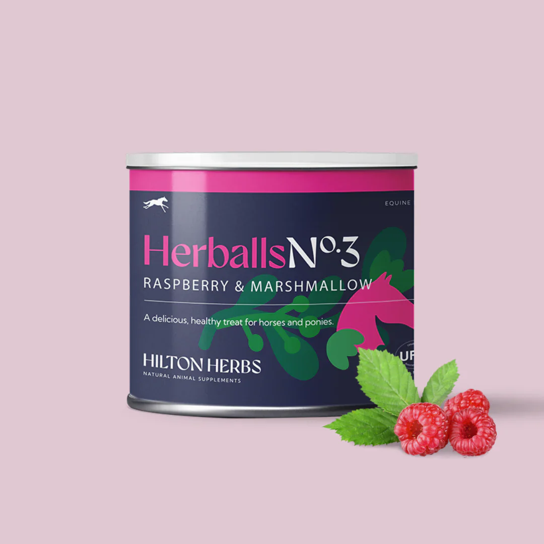 Hilton Herbs Herballs - Image 6