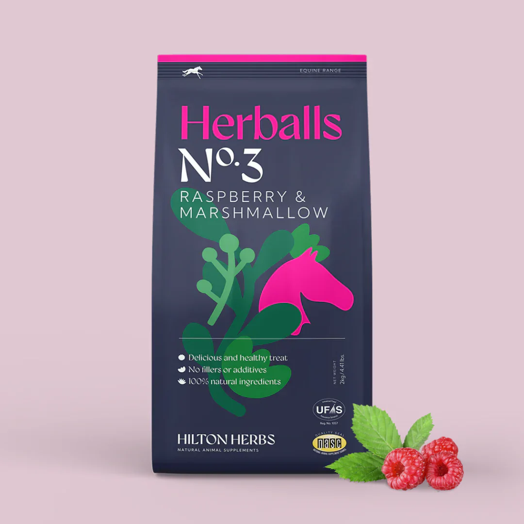 Hilton Herbs Herballs - Image 9