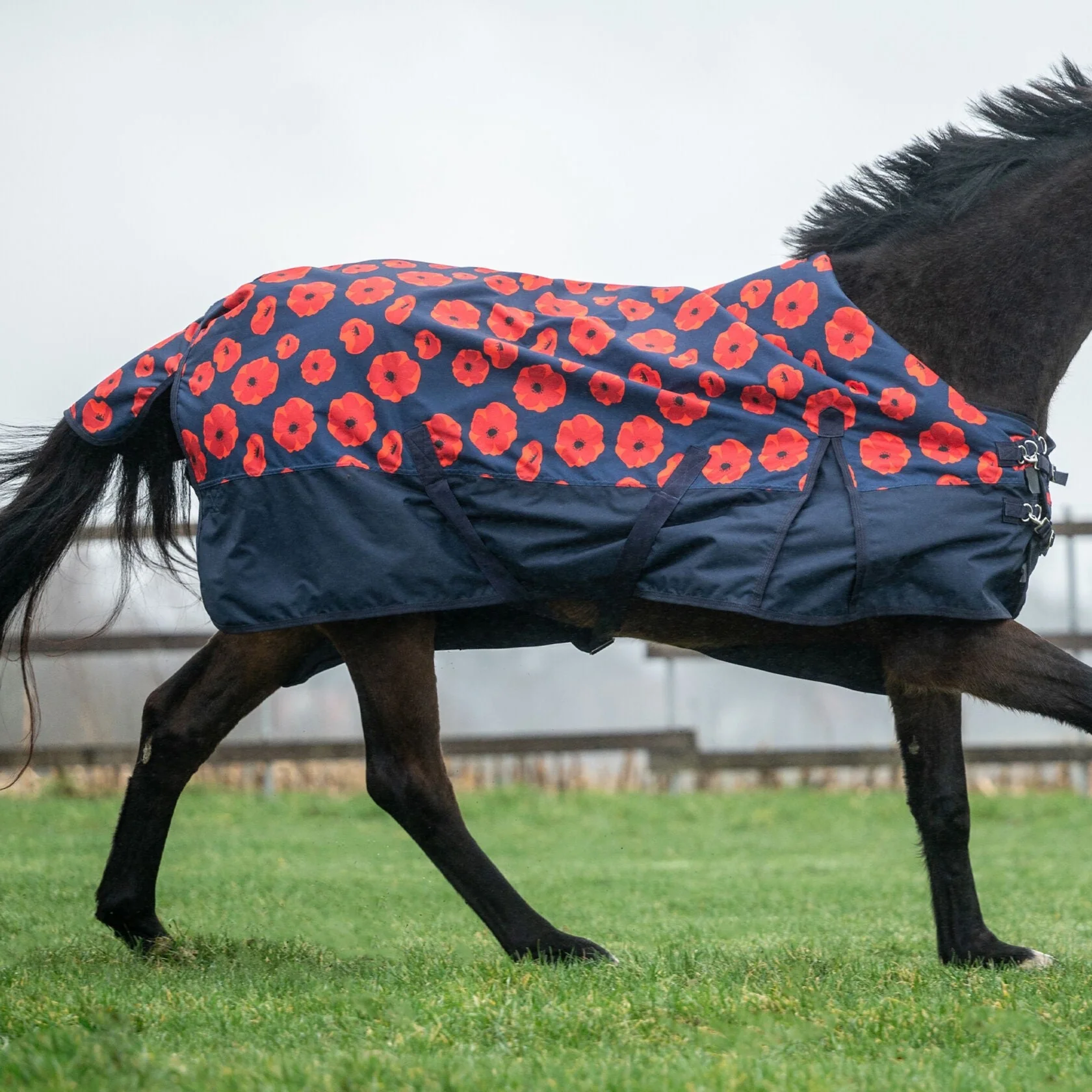 HKM 600D 100g Turnout Rug -Poppy- - Image 4