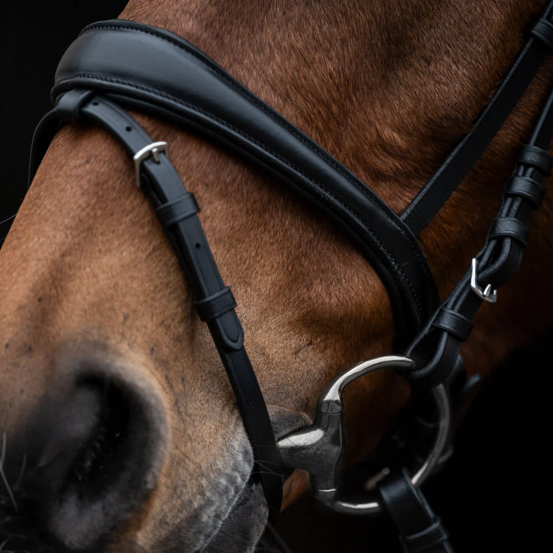 HKM Bridle -Kopenhagen- - Image 4