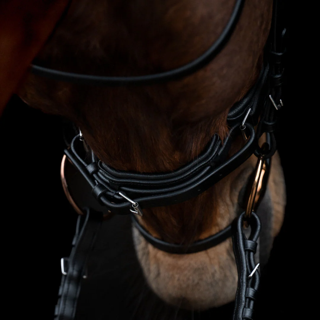 HKM Bridle -Kopenhagen- - Image 5
