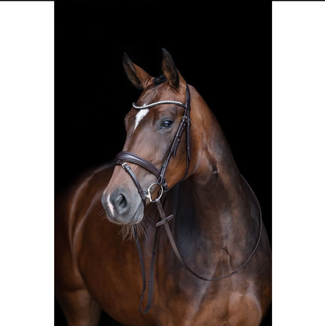 HKM Melinda Bridle - Image 6
